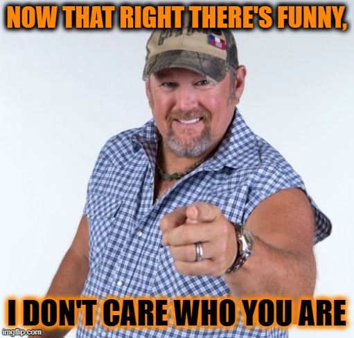 Larry the Cable Guy | NOW THAT RIGHT THERE'S FUNNY, I DON'T CARE WHO YOU ARE | image tagged in larry the cable guy | made w/ Imgflip meme maker