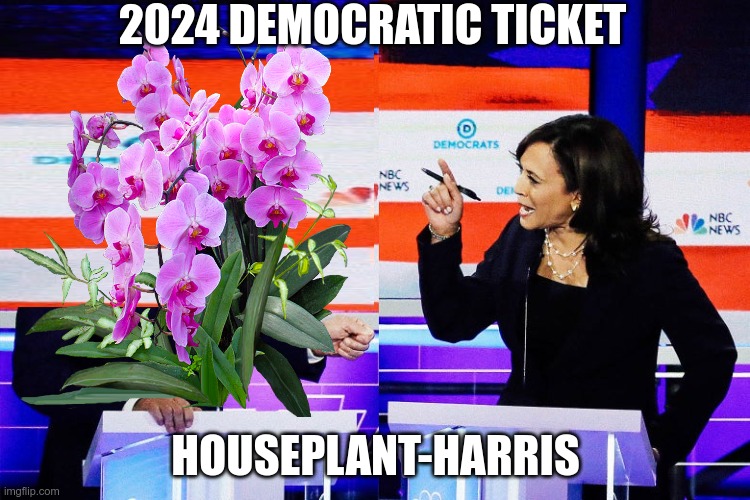 And nobody noticed that Biden was replaced by an Orchid | 2024 DEMOCRATIC TICKET; HOUSEPLANT-HARRIS | image tagged in kamala harris,crying democrats,liberal logic,stupid liberals | made w/ Imgflip meme maker