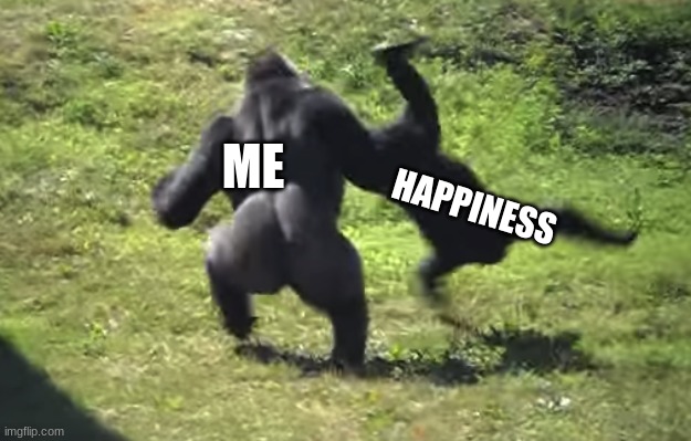 gorilla throwing another gorilla | ME; HAPPINESS | image tagged in gorilla throwing another gorilla | made w/ Imgflip meme maker