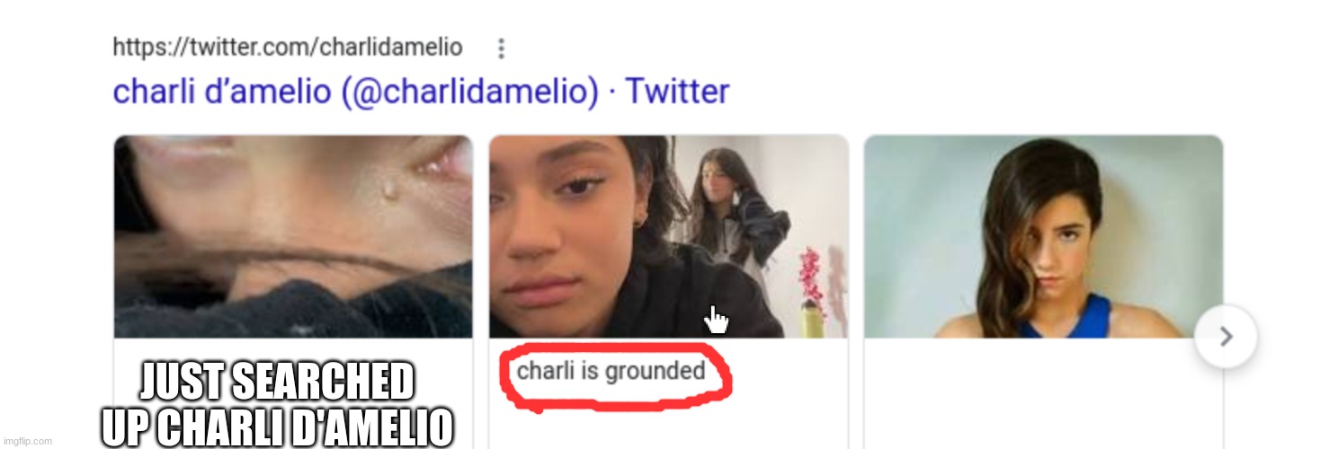 charli is grounded | JUST SEARCHED UP CHARLI D'AMELIO | image tagged in funny,not gonna see her on tic tok for a day or two | made w/ Imgflip meme maker