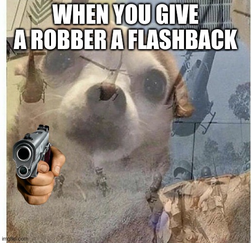 when you give a robber a flashback | WHEN YOU GIVE A ROBBER A FLASHBACK | image tagged in ptsd chihuahua,gun,dog,meme | made w/ Imgflip meme maker