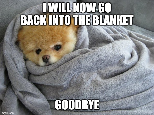 Bundled up Doggo | I WILL NOW GO BACK INTO THE BLANKET GOODBYE | image tagged in bundled up doggo | made w/ Imgflip meme maker