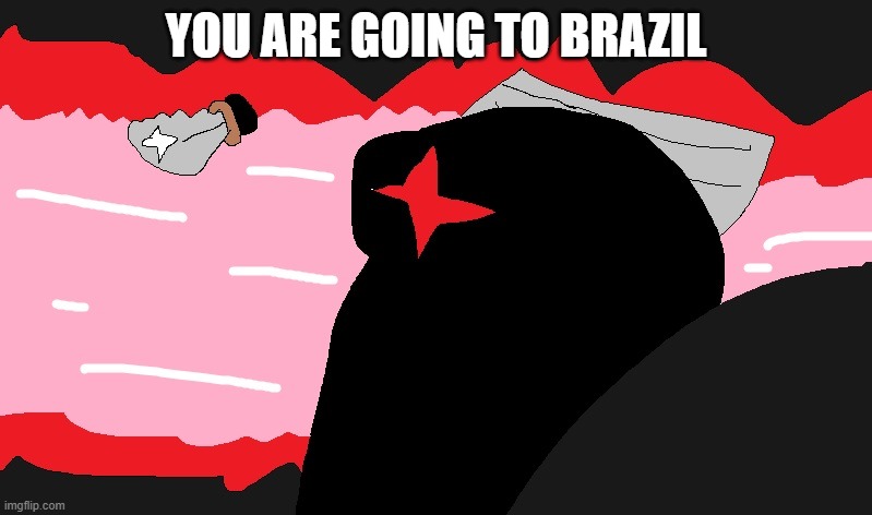 Among Us Punch | YOU ARE GOING TO BRAZIL | image tagged in among us punch | made w/ Imgflip meme maker