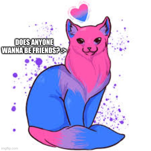 :.Friends anyone?.: | DOES ANYONE WANNA BE FRIENDS? :> | image tagged in bisexual cat | made w/ Imgflip meme maker
