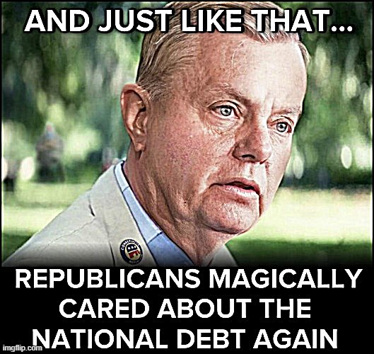 Troll of the Day: Lindsey Graham | image tagged in lindsey graham | made w/ Imgflip meme maker