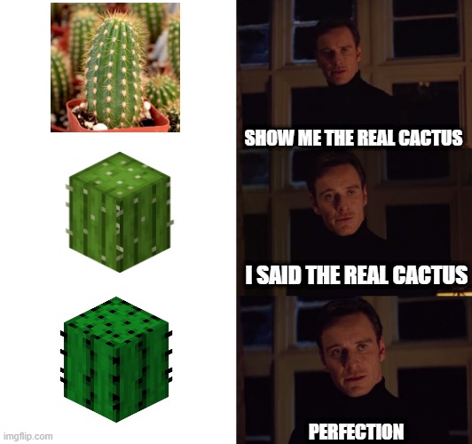 Nobody: Minecraft veterans: | SHOW ME THE REAL CACTUS; I SAID THE REAL CACTUS; PERFECTION | image tagged in perfection,minecraft,cactus | made w/ Imgflip meme maker