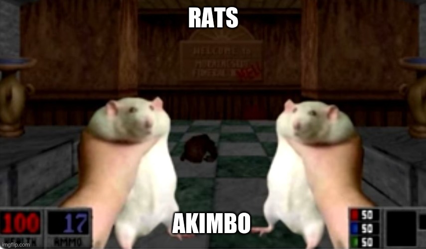 RATS AKIMBO POWERUP | RATS; AKIMBO | image tagged in rat | made w/ Imgflip meme maker