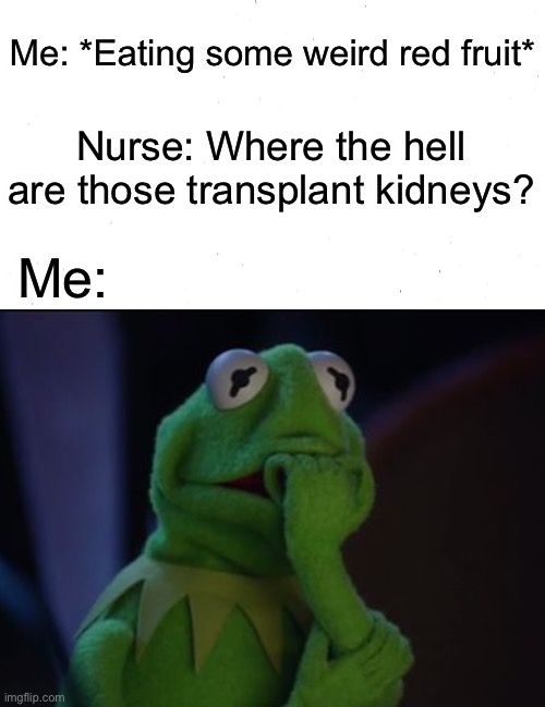 Oh no! | Me: *Eating some weird red fruit*; Nurse: Where the hell are those transplant kidneys? Me: | image tagged in fun | made w/ Imgflip meme maker
