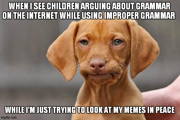 I'm technically a child as well but at least I know how to spell | WHEN I SEE CHILDREN ARGUING ABOUT GRAMMAR ON THE INTERNET WHILE USING IMPROPER GRAMMAR; WHILE I'M JUST TRYING TO LOOK AT MY MEMES IN PEACE | image tagged in dissapointed puppy | made w/ Imgflip meme maker
