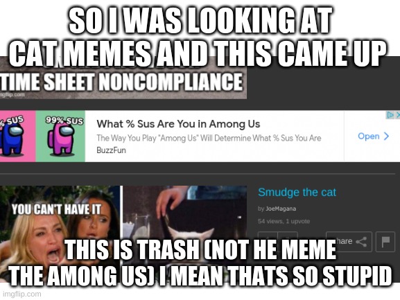 the what % sus are u is so dumb | SO I WAS LOOKING AT CAT MEMES AND THIS CAME UP; THIS IS TRASH (NOT HE MEME THE AMONG US) I MEAN THATS SO STUPID | image tagged in meme,oh wow are you actually reading these tags | made w/ Imgflip meme maker