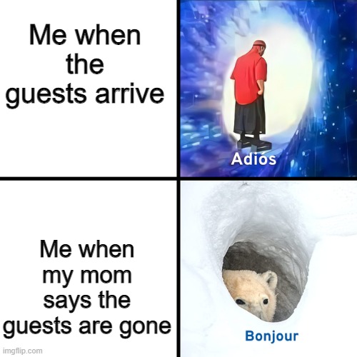 Huge relief | Me when the guests arrive; Me when my mom says the guests are gone | image tagged in adios bonjour | made w/ Imgflip meme maker