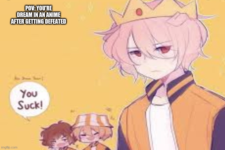 lol | POV: YOU'RE DREAM IN AN ANIME AFTER GETTING DEFEATED | image tagged in funny | made w/ Imgflip meme maker