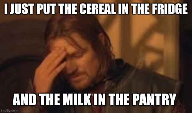 My stupidity is immeasurable ;-; then again just cause I’m stupid doesn’t mean I’m not smart | I JUST PUT THE CEREAL IN THE FRIDGE; AND THE MILK IN THE PANTRY | image tagged in when will rithika understand sigh | made w/ Imgflip meme maker