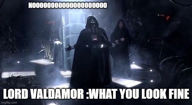 Vader nooooooooo | NOOOOOOOOOOOOOOOOOOOO; LORD VALDAMOR :WHAT YOU LOOK FINE | image tagged in vader nooooooooo | made w/ Imgflip meme maker