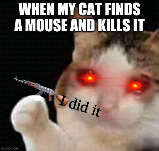 sad thumbs up cat | WHEN MY CAT FINDS A MOUSE AND KILLS IT; I did it | image tagged in sad thumbs up cat | made w/ Imgflip meme maker