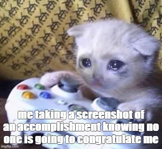 Crying cat xbox | me taking a screenshot of an accomplishment knowing no one is going to congratulate me | image tagged in crying cat xbox | made w/ Imgflip meme maker