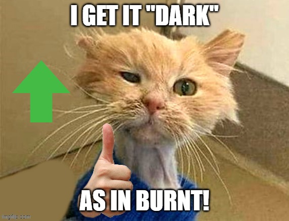 thumb cat | I GET IT "DARK" AS IN BURNT! | image tagged in thumb cat | made w/ Imgflip meme maker