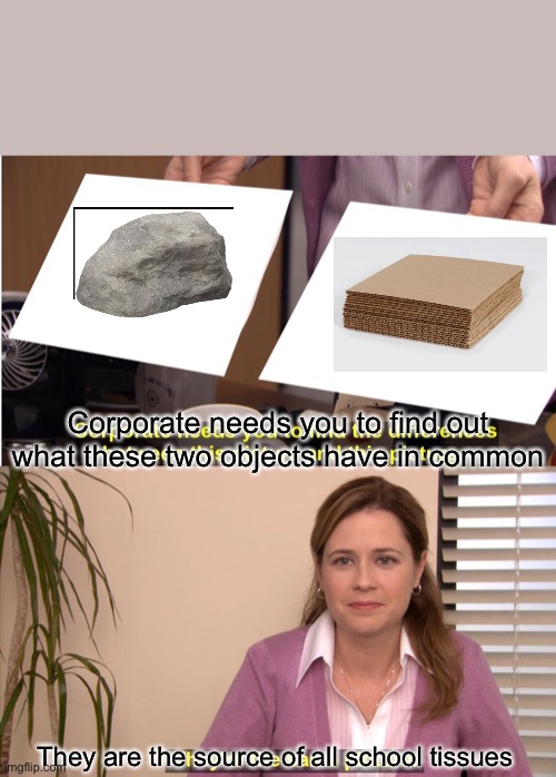 Am I wrong tho | Corporate needs you to find out what these two objects have in common; They are the source of all school tissues | image tagged in memes,they're the same picture | made w/ Imgflip meme maker