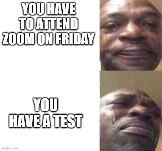 :( | YOU HAVE TO ATTEND ZOOM ON FRIDAY; YOU HAVE A TEST | image tagged in black guy crying,school sucks,booo | made w/ Imgflip meme maker