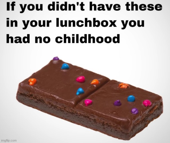I strongly believe this is why i dont have a childhood | image tagged in lol,brownie,xd,nooo haha go brrrrrrrrrrrrrrrrrrrrrrrrrrrrrrr | made w/ Imgflip meme maker