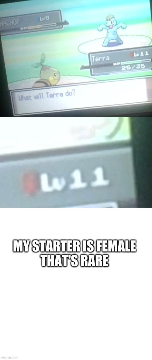 MY STARTER IS FEMALE
THAT'S RARE | image tagged in memes,blank transparent square | made w/ Imgflip meme maker