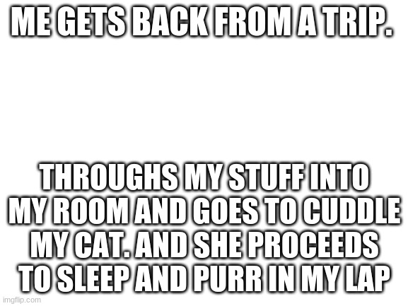 Blank White Template | ME GETS BACK FROM A TRIP. THROUGHS MY STUFF INTO MY ROOM AND GOES TO CUDDLE MY CAT. AND SHE PROCEEDS TO SLEEP AND PURR IN MY LAP | image tagged in blank white template,cat | made w/ Imgflip meme maker