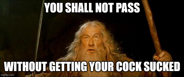 gandalf you shall not pass | YOU SHALL NOT PASS; WITHOUT GETTING YOUR COCK SUCKED | image tagged in gandalf you shall not pass | made w/ Imgflip meme maker