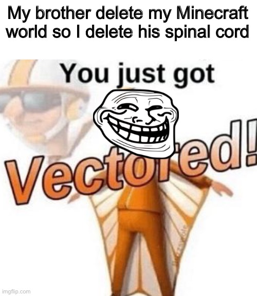 Vectored | My brother delete my Minecraft world so I delete his spinal cord | image tagged in you just got vectored | made w/ Imgflip meme maker