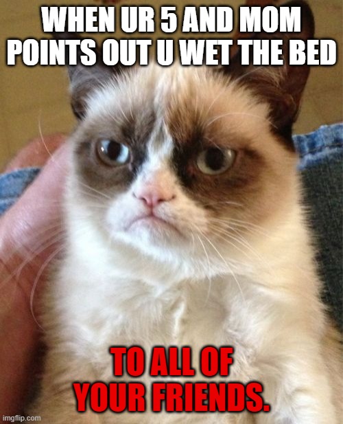 Grumpy Cat Meme | WHEN UR 5 AND MOM POINTS OUT U WET THE BED; TO ALL OF YOUR FRIENDS. | image tagged in memes,grumpy cat | made w/ Imgflip meme maker