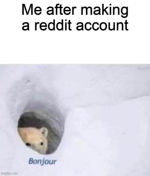 h | Me after making a reddit account | image tagged in bonjour | made w/ Imgflip meme maker