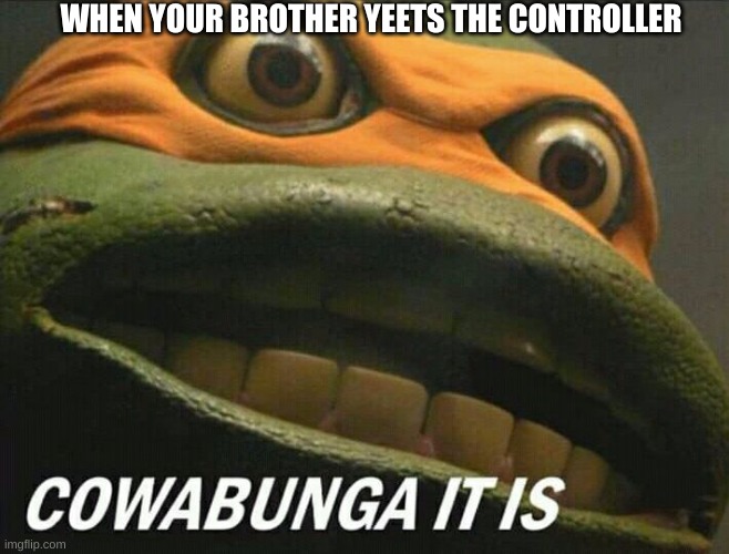 Cowabunga it is |  WHEN YOUR BROTHER YEETS THE CONTROLLER | image tagged in cowabunga it is | made w/ Imgflip meme maker