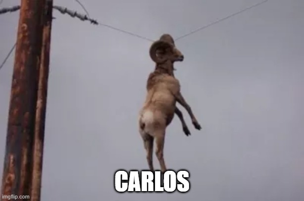 Carlos | CARLOS | image tagged in random | made w/ Imgflip meme maker