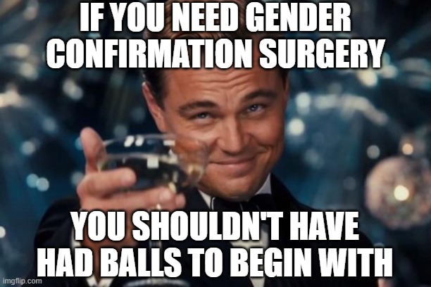 Leonardo Dicaprio Cheers Meme | IF YOU NEED GENDER CONFIRMATION SURGERY; YOU SHOULDN'T HAVE HAD BALLS TO BEGIN WITH | image tagged in memes,leonardo dicaprio cheers | made w/ Imgflip meme maker