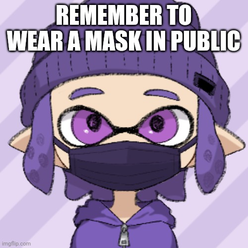 Bryce with mask | REMEMBER TO WEAR A MASK IN PUBLIC | image tagged in bryce with mask | made w/ Imgflip meme maker