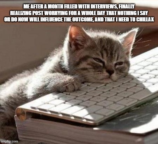 tired cat | ME AFTER A MONTH FILLED WITH INTERVIEWS, FINALLY REALIZING POST WORRYING FOR A WHOLE DAY THAT NOTHING I SAY OR DO NOW WILL INFLUENCE THE OUTCOME, AND THAT I NEED TO CHILLAX | image tagged in tired cat | made w/ Imgflip meme maker