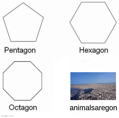 rest in peace | animalsaregon | image tagged in memes,pentagon hexagon octagon,do not pollute,save the earth,contribute | made w/ Imgflip meme maker