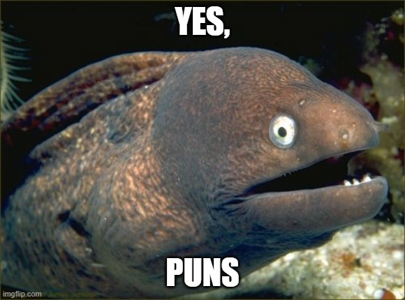 Bad Joke Eel Meme | YES, PUNS | image tagged in memes,bad joke eel | made w/ Imgflip meme maker