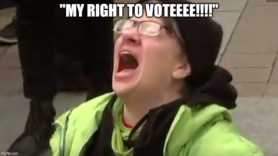 Screaming Liberal  | "MY RIGHT TO VOTEEEE!!!!" | image tagged in screaming liberal | made w/ Imgflip meme maker
