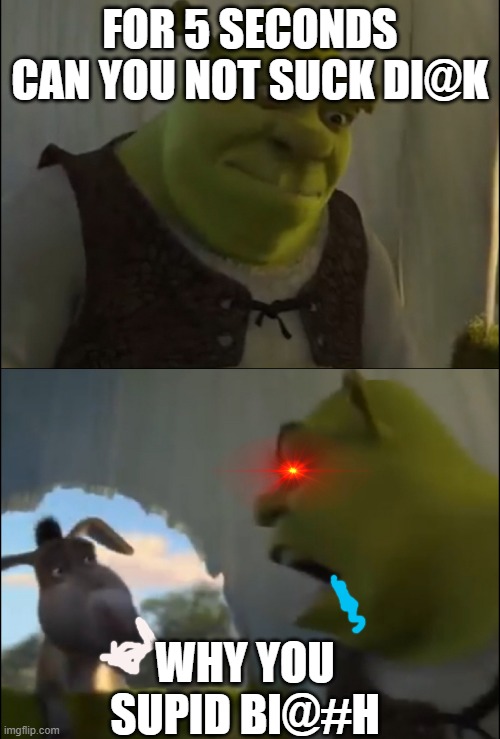 coomer1123 | FOR 5 SECONDS CAN YOU NOT SUCK DI@K; WHY YOU SUPID BI@#H | image tagged in shrek yelling at donkey | made w/ Imgflip meme maker