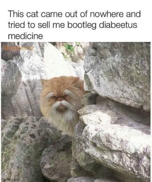 you, too, can live an active life with diabeetus | image tagged in diabetes,diabeetus,repost,cats,cat,medicine | made w/ Imgflip meme maker