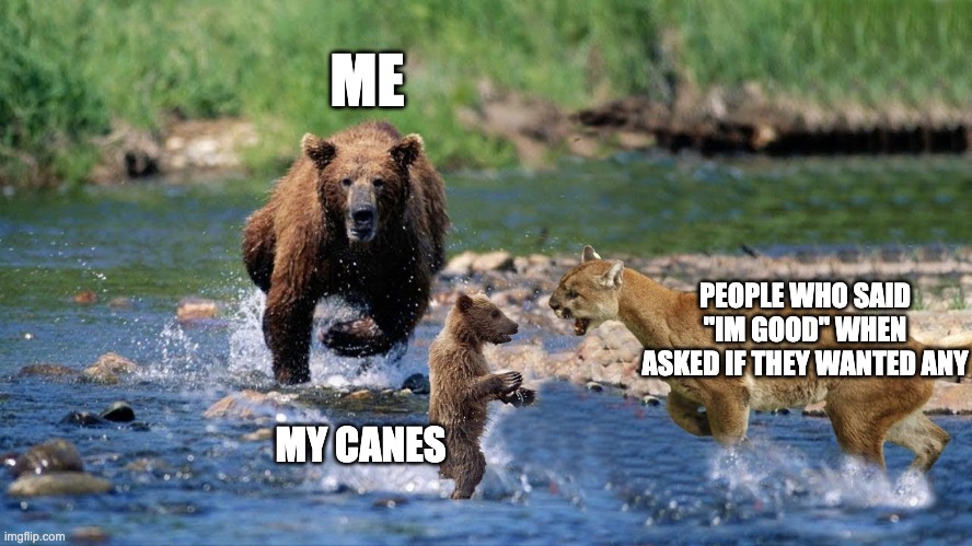 Canes | ME; PEOPLE WHO SAID "IM GOOD" WHEN ASKED IF THEY WANTED ANY; MY CANES | image tagged in bear | made w/ Imgflip meme maker