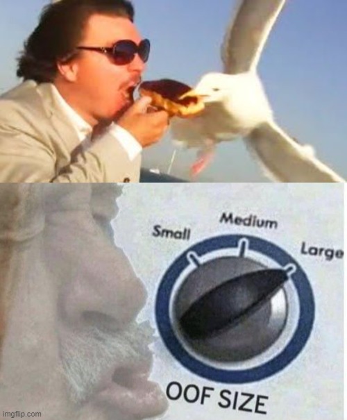 image tagged in swiping seagull,oof size large | made w/ Imgflip meme maker