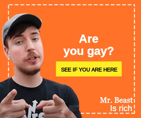 lol | Are you gay? SEE IF YOU ARE HERE; Mr. Beast; Is rich | image tagged in mr beast honey ad | made w/ Imgflip meme maker