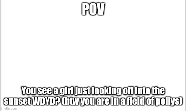 She has light brown hair and hazel eyes | POV; You see a girl just looking off into the sunset WDYD? (btw you are in a field of pollys) | image tagged in white background | made w/ Imgflip meme maker