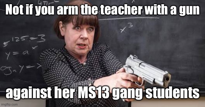 Maths teacher with gun | Not if you arm the teacher with a gun against her MS13 gang students | image tagged in maths teacher with gun | made w/ Imgflip meme maker