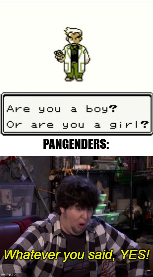 First pangender joke xD | PANGENDERS:; Whatever you said, YES! | image tagged in pangender,jontron,lgbt,gender,pokemon | made w/ Imgflip meme maker