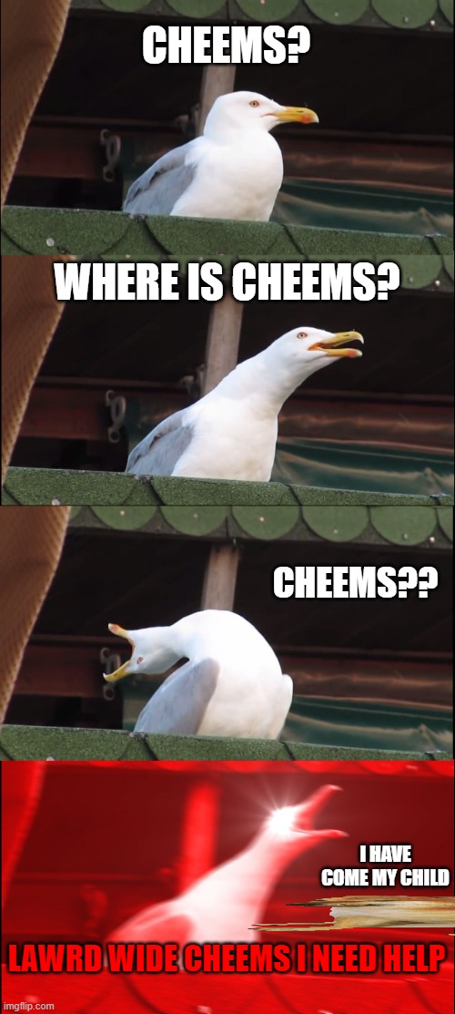 Inhaling Seagull | CHEEMS? WHERE IS CHEEMS? CHEEMS?? I HAVE COME MY CHILD; LAWRD WIDE CHEEMS I NEED HELP | image tagged in memes,inhaling seagull | made w/ Imgflip meme maker