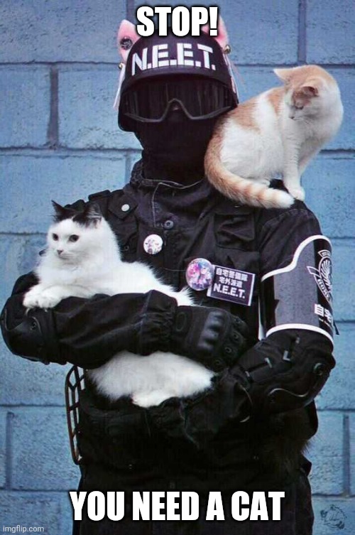 THE KITTY POLICE | STOP! YOU NEED A CAT | image tagged in cats,funny cats | made w/ Imgflip meme maker