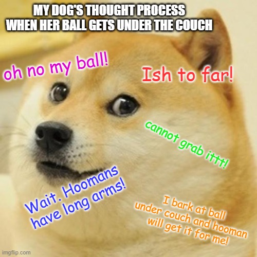 this is true tho | MY DOG'S THOUGHT PROCESS WHEN HER BALL GETS UNDER THE COUCH; oh no my ball! Ish to far! cannot grab ittt! Wait. Hoomans have long arms! I bark at ball under couch and hooman will get it for me! | image tagged in memes,doge | made w/ Imgflip meme maker