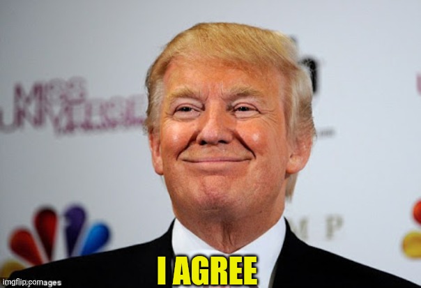 Donald trump approves | I AGREE | image tagged in donald trump approves | made w/ Imgflip meme maker